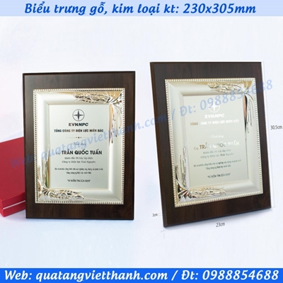Biểu trưng gỗ, kim loại laze