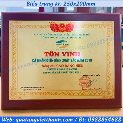 Biểu trưng in kim loại A5
