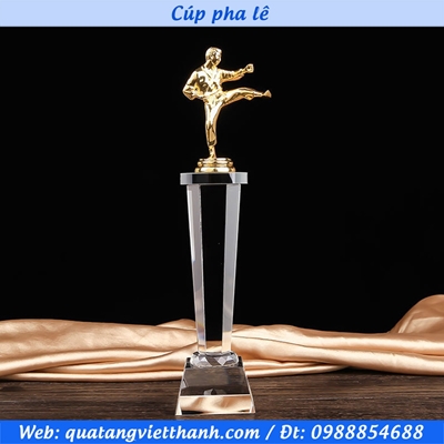 Cúp giải võ