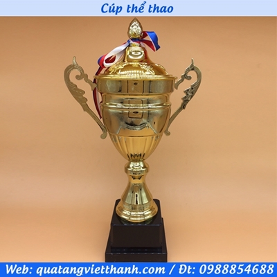 Cúp thể thao 2023