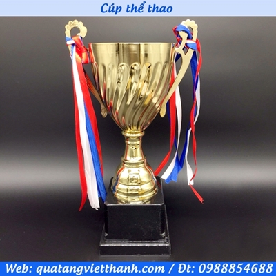 Cúp thể thao 3019