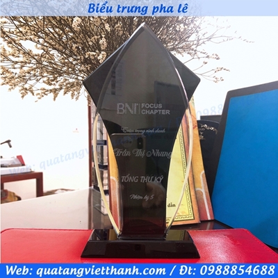 Biểu trưng pha lê (mẫu T22)