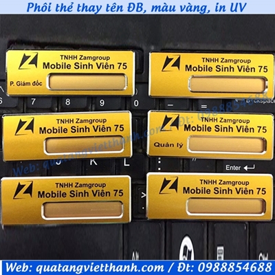 Thẻ thay tên ĐB1, vàng