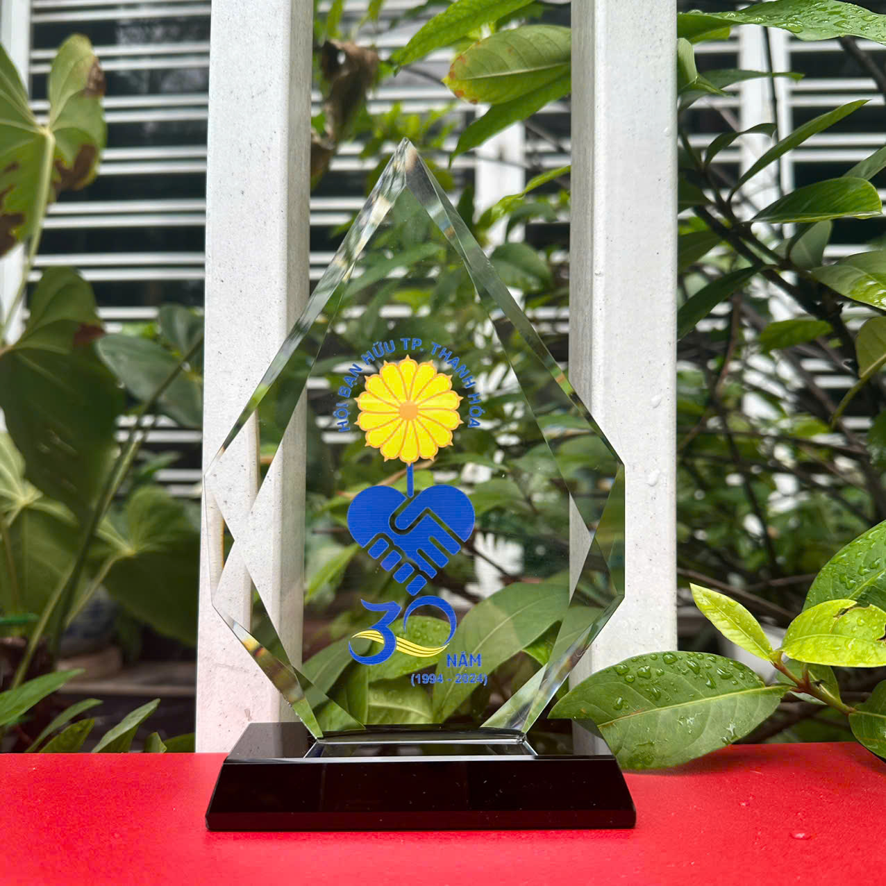 Giọ nước nhọn đ (2)