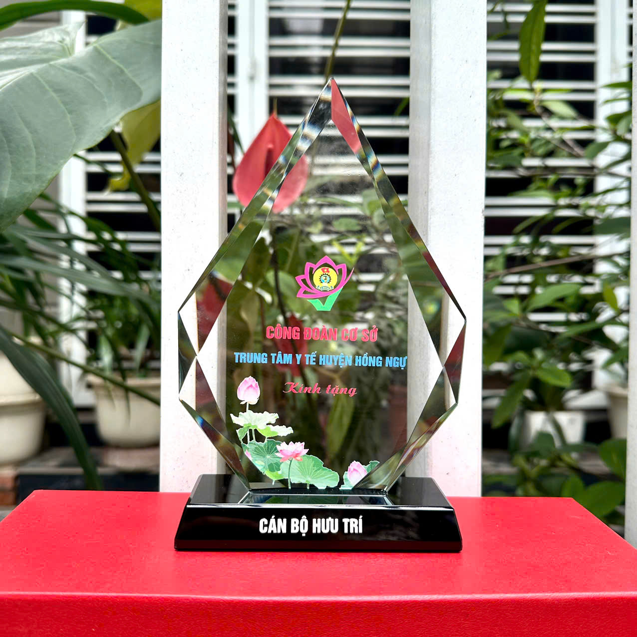 Giọ nước nhọn đ (3)