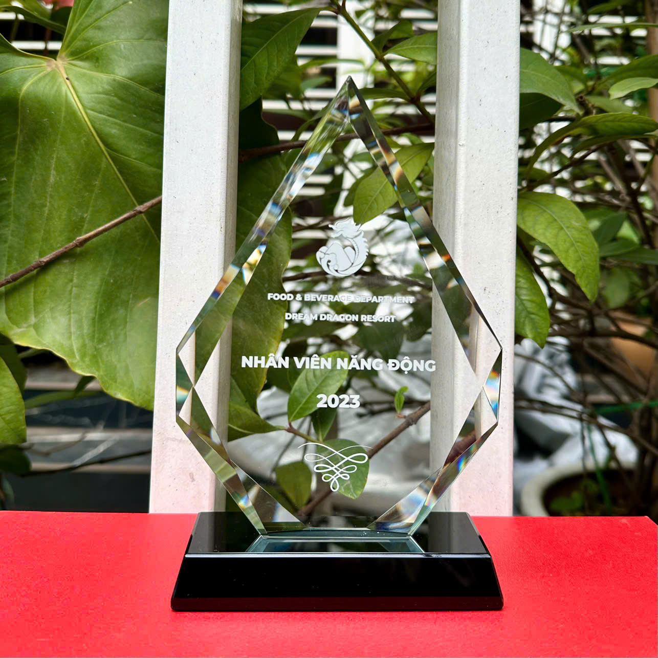 Giọ nước nhọn đ